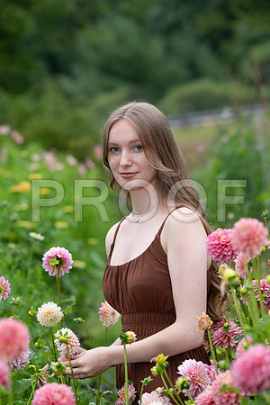 addison012