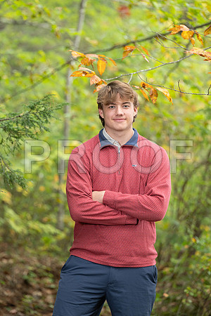 ronan076