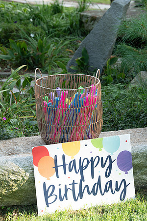 reinfurt_party_011