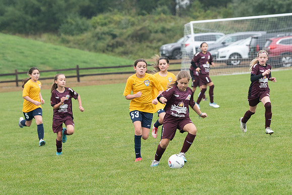 GUSC_2023_073